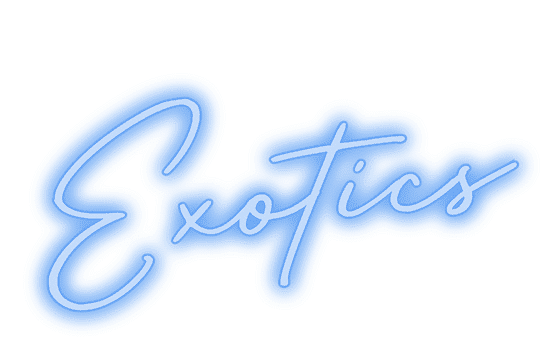 Exotics