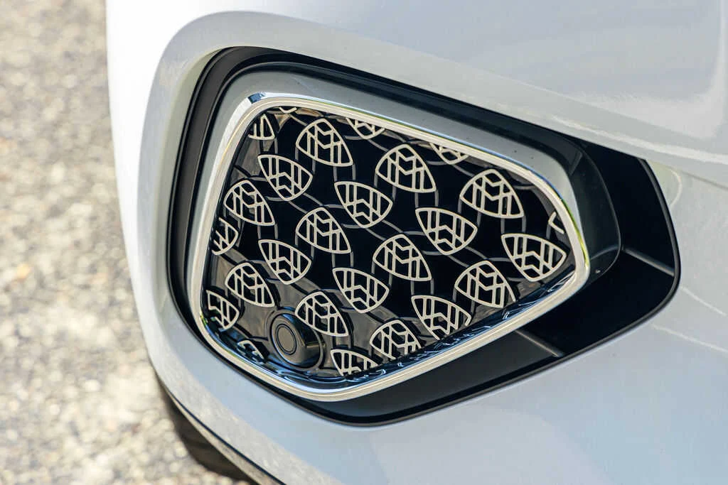 Maybach GLS 600 photo 8